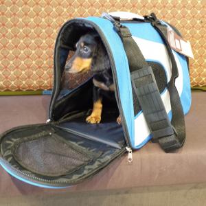 Puppy carrier for sale at Queens Puppy
