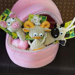 Puppy toys and beds for sale at Queens Puppy